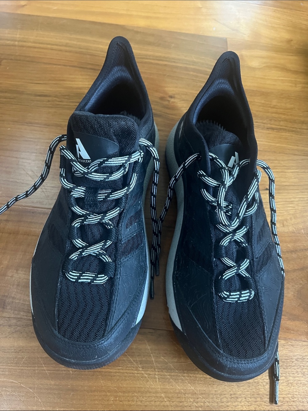Eddie Bauer hiking shoes (size 9)